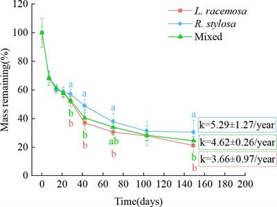 Exotic mangrove Laguncularia racemosa litter input accelerates nutrient cycling in mangrove ecosystems